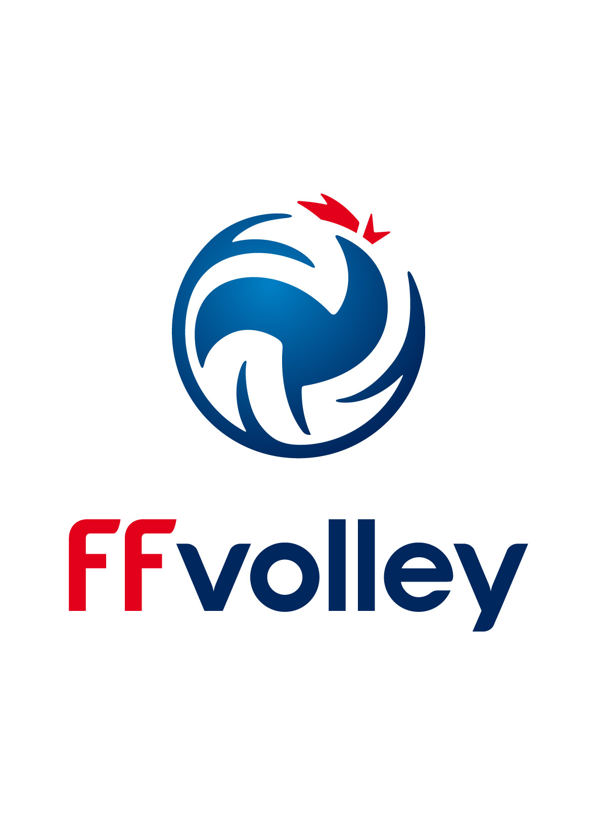 Fédération Française de Volley-Ball